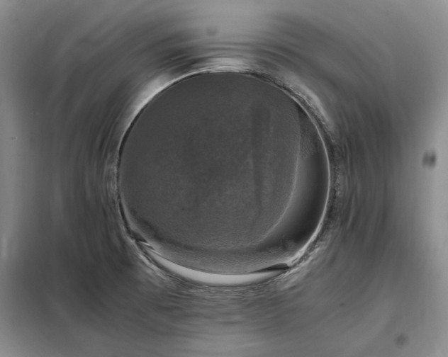 X0000098191473200805011112