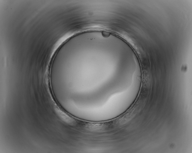 X0000098191474200805011112