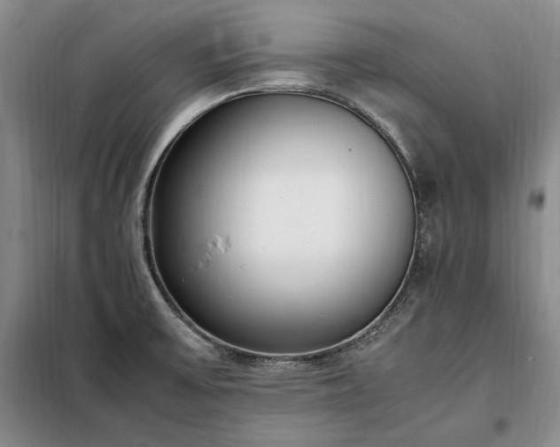 X0000098191475200805011112