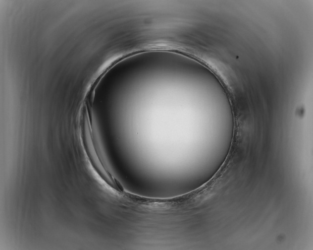 X0000098191476200805011112