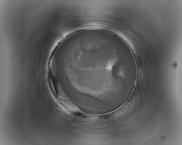 X0000098191477200805011112