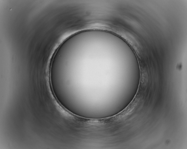 X0000098191478200805011112