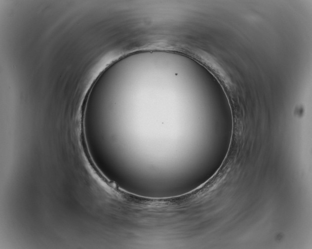 X0000098191479200805011112