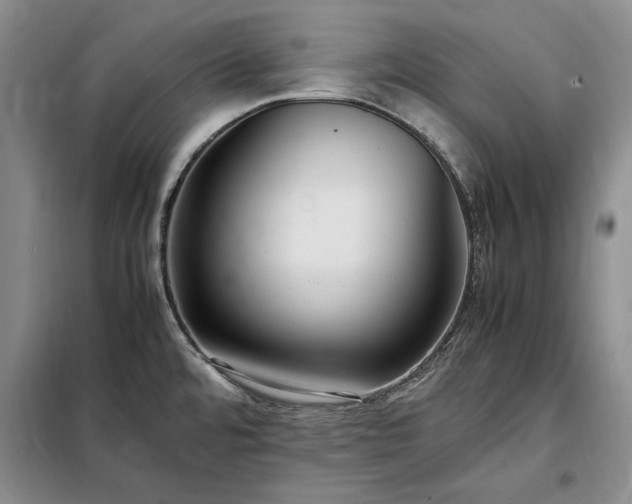 X0000098191480200805011112