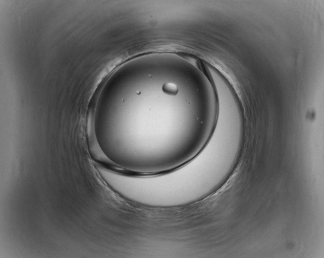 X0000098191481200805011112