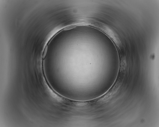 X0000098191484200805011112