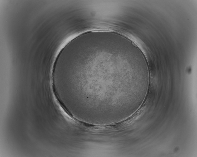 X0000098191485200805011112