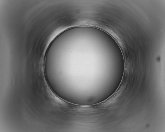 X0000098191486200805011112