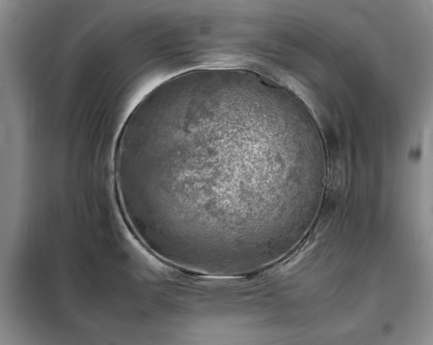 X0000098191487200805011112