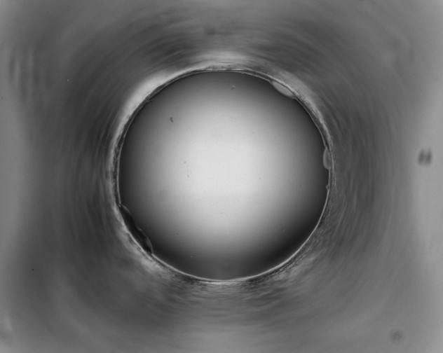 X0000098191488200805011112