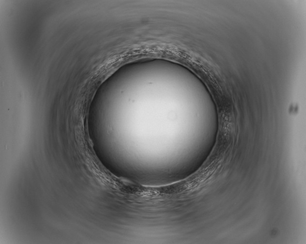 X0000098191489200805011111