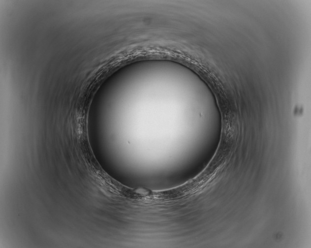 X0000098191490200805011111
