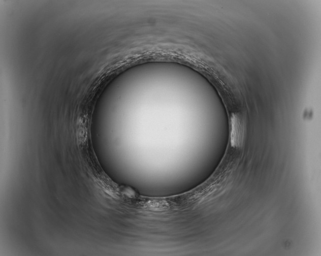 X0000098191491200805011111