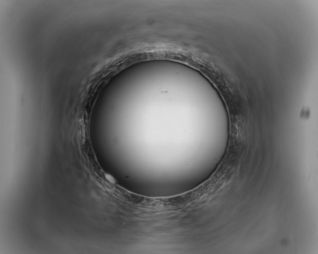 X0000098191493200805011111