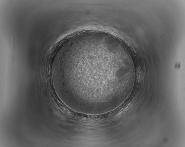 X0000098191494200805011112