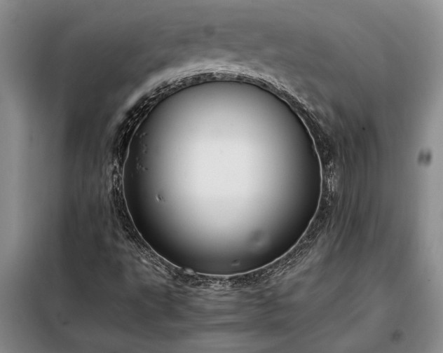 X0000098191495200805011112