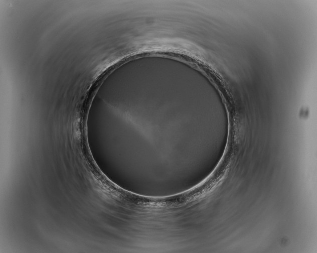 X0000098191497200805011112