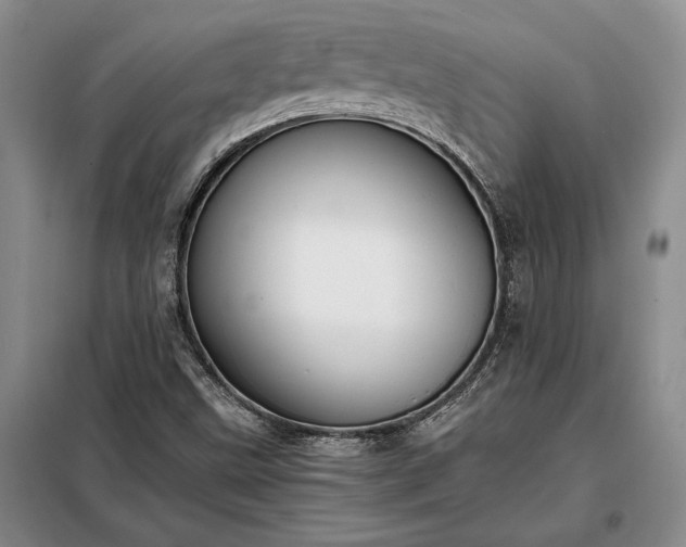 X0000098191499200805011112