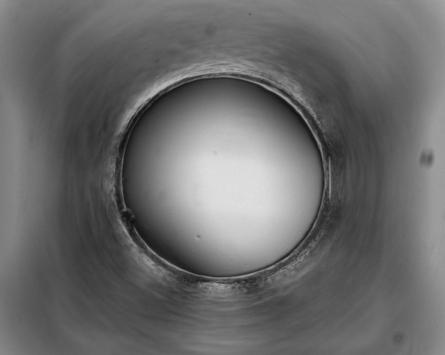 X0000098191500200805011112