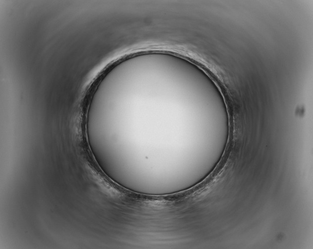 X0000098191502200805011112