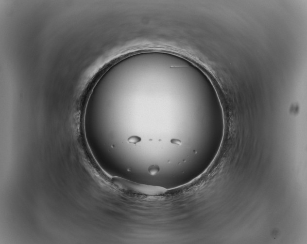 X0000098191503200805011112