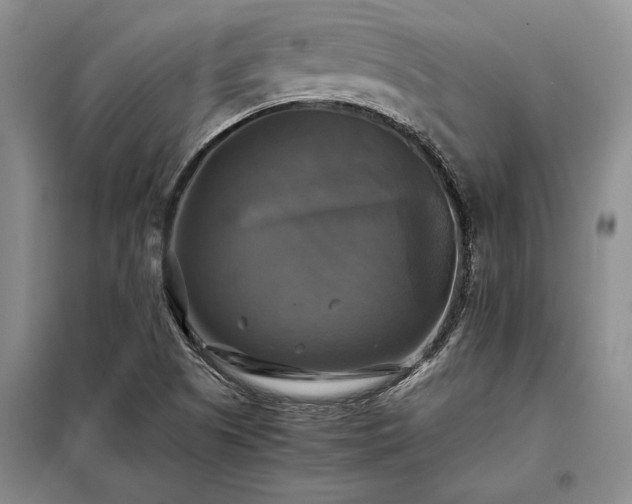 X0000098191505200805011112