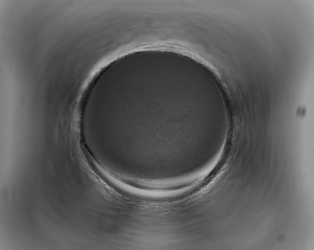 X0000098191506200805011112