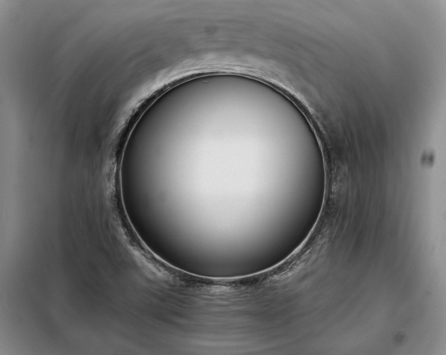 X0000098191507200805011112