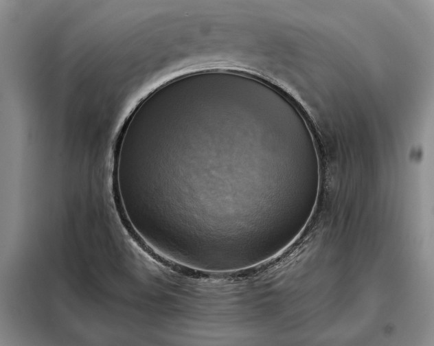 X0000098191508200805011112