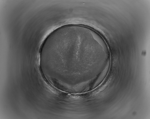 X0000098191509200805011112