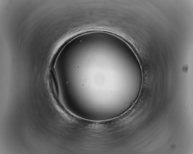 X0000098191511200805011112
