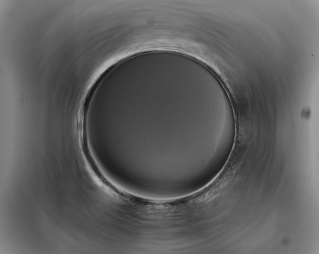 X0000098191515200805011112