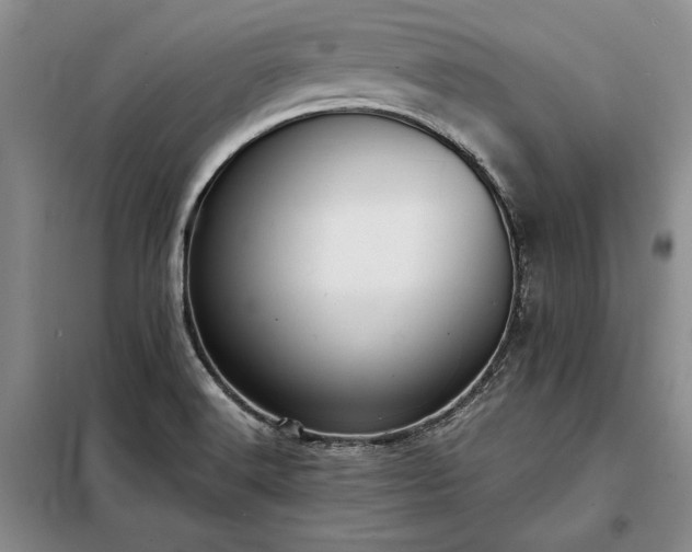 X0000098191516200805011112