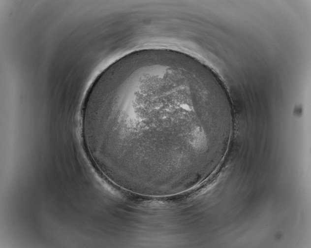 X0000098191517200805011112