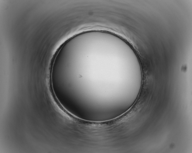 X0000098191518200805011112