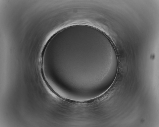 X0000098191519200805011112