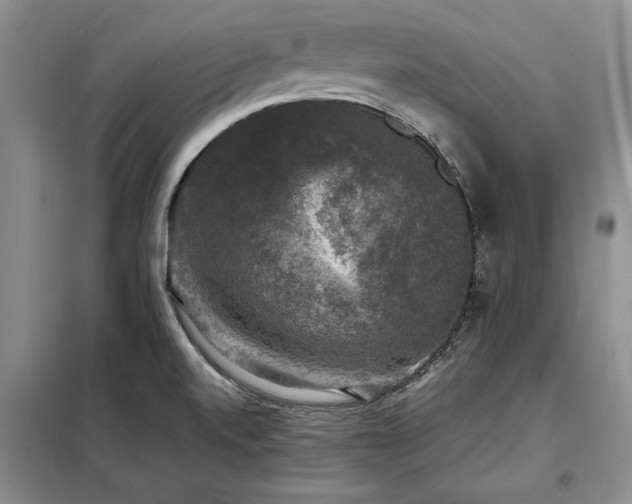 X0000098191520200805011112