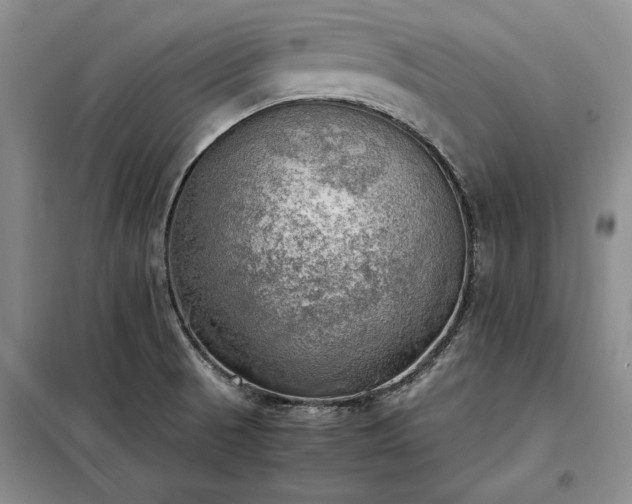 X0000098191521200805011112