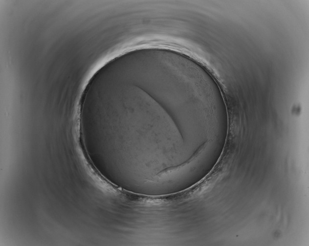 X0000098191522200805011112