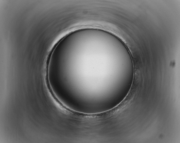X0000098191523200805011112