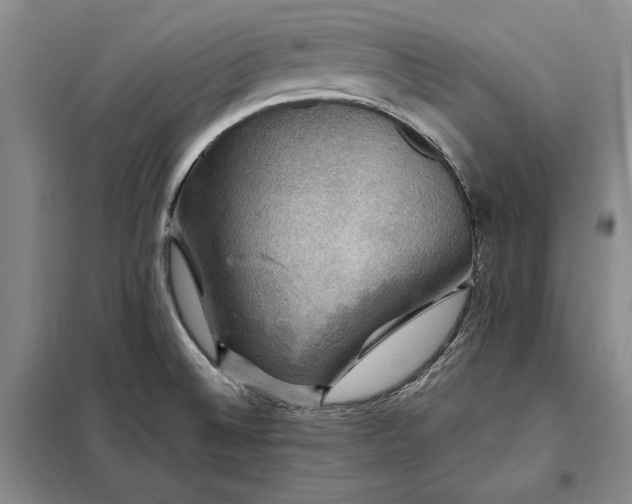 X0000098191524200805011112