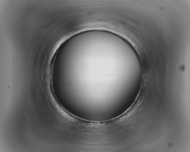 X0000098191526200805011112