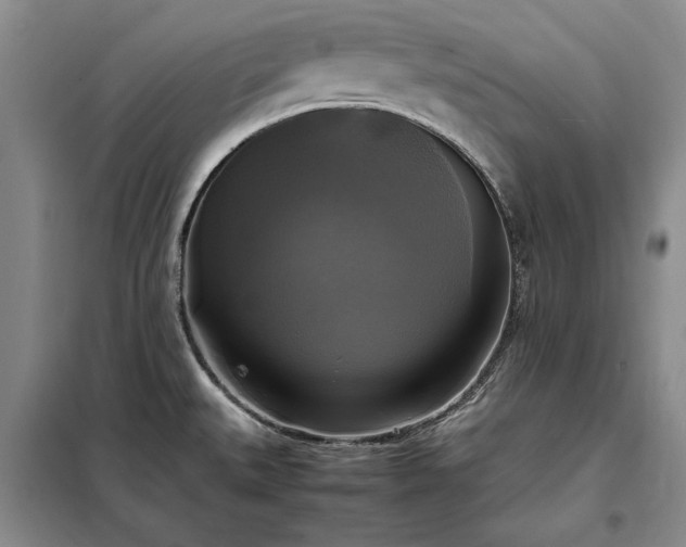 X0000098191527200805011112