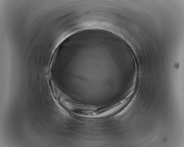 X0000098191529200805011112