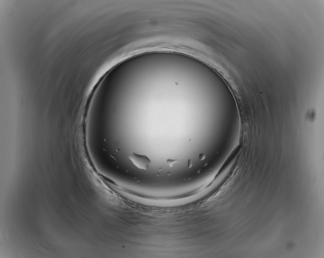 X0000098191530200805011112