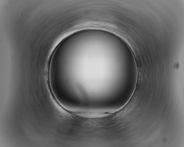 X0000098191531200805011112