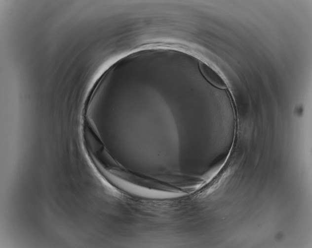 X0000098191533200805011112