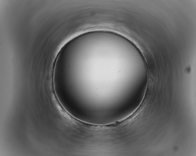 X0000098191534200805011112