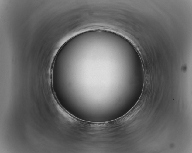 X0000098191535200805011112