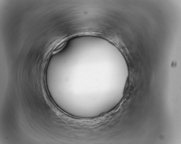 X0000098190001200805081058